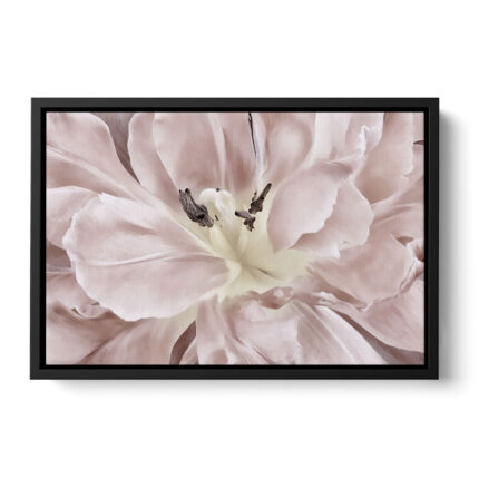 ” Pastel “ - Chic Decora