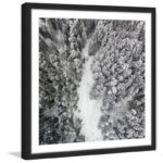 " Path Among Giants " by Karolis Janulis - Image 5