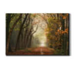 " Path Of Dreams " - Image 6