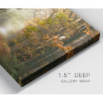 " Path Of Dreams " - Image 3