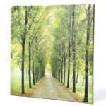 " Path Of Life " - Image 6