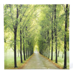 " Path Of Life " - Image 3