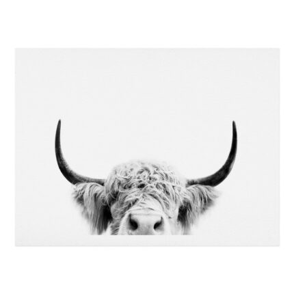 ” Peeking Highland Cow ” by Sisi And Seb - Chic Decora