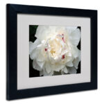 " Perfect Peony " by Kurt Shaffer - Image 2