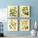 " Popular Old-Fashioned Plant Botanical " by N. Harbick 4 - Pieces