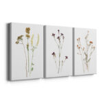 " Pressed Botanical I " 3 - Pieces - Image 5