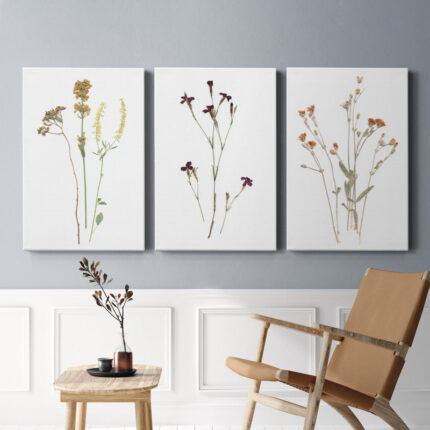 ” Pressed Botanical I ” 3 – Pieces - Chic Decora
