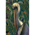 " Primal Pelicana " - Image 2