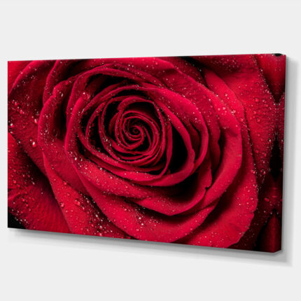 ” Red Rose Petals With Rain Droplets “ - Chic Decora