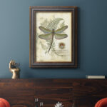 " Regal Dragonfly I (PP) " Painting Print - Image 4
