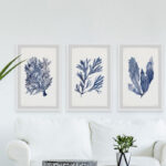 " Seaweed Under Water V " by Marmont Hill 3 - Pieces