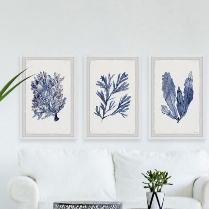 ” Seaweed Under Water V ” by Marmont Hill 3 – Pieces - Chic Decora