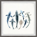 " Shark Types " - Image 5