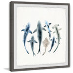 " Shark Types " - Image 6