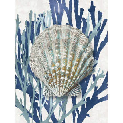 ” Shell Coral Aqua Blue IV “ - Chic Decora