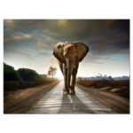" Single Walking Elephant " - Image 7
