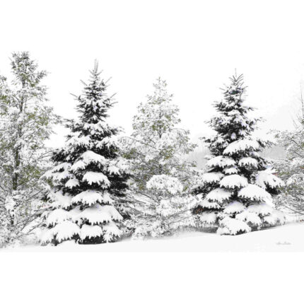 ” Snowy Pine Trees ” by Lori Deiter - Chic Decora