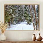 " Snowy Road In The Forest "