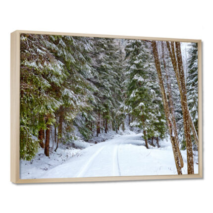 ” Snowy Road In The Forest “ - Chic Decora