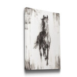 " Stallion I " - Image 2