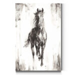 " Stallion I " - Image 4