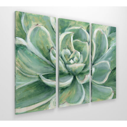 ” Succulent ” 3 – Pieces - Chic Decora