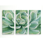 " Succulent " 3 - Pieces - Image 2
