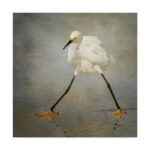 " The Rock Star " by Alfred Forns - Image 7