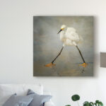 " The Rock Star " by Alfred Forns