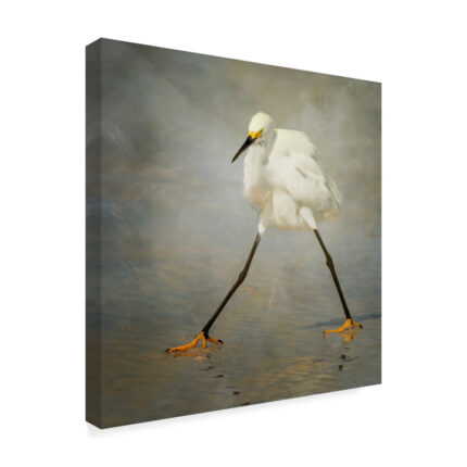 ” The Rock Star ” by Alfred Forns - Chic Decora