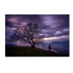 " The Tree Of Love Grenoble " by Mathieu Rivrin - Image 8