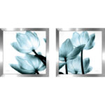 " Translucent Tulips II Sq Aqua Crop " by Debra Van Swearingen 2 - Pieces - Image 6