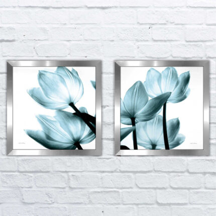 ” Translucent Tulips II Sq Aqua Crop ” by Debra Van Swearingen 2 – Pieces - Chic Decora