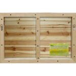 " Tree Reflection " by Parvez Taj - Image 5