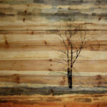 " Tree Stands Alone " by Parvez Taj - Image 6