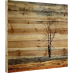 " Tree Stands Alone " by Parvez Taj - Image 8