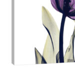 " Tulip Dream " - Image 3