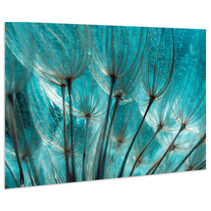 ” Turquoise Dandelion “ - Chic Decora