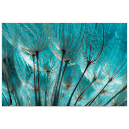 ” Turquoise Dandelion “ - Chic Decora