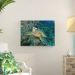 " Turtle " by Christopher Doherty - Image 4