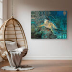 " Turtle " by Christopher Doherty - Image 8