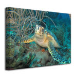 " Turtle " by Christopher Doherty - Image 2