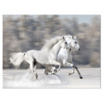 " Two White Horse " by Designart - Image 6
