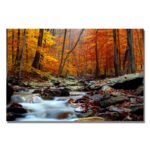 " Ultimate Truth " by CATeyes