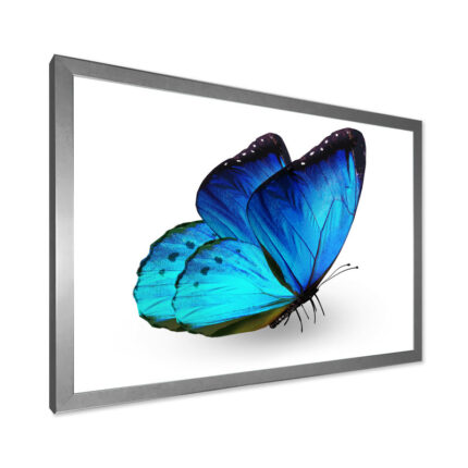 ” Vibrant Blue Butterfly “ - Chic Decora