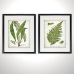 " Vintage Botanical Sketch VII " 2 - Pieces Painting Print - Image 4