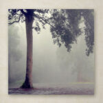 " Where They Hold Hands " by Beata Czyzowska Young - Image 6