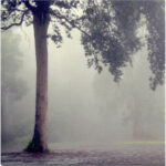 " Where They Hold Hands " by Beata Czyzowska Young - Image 8