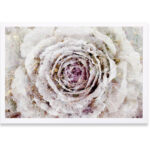 " Winter New York Flower " - Image 7