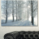 " Winter Trees Backlit By Morning Sun "